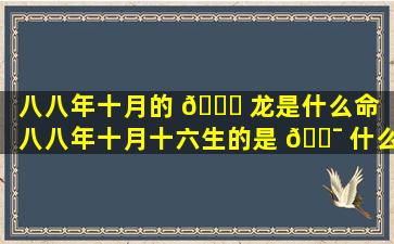 八八年十月的 🐎 龙是什么命（八八年十月十六生的是 🐯 什么命）